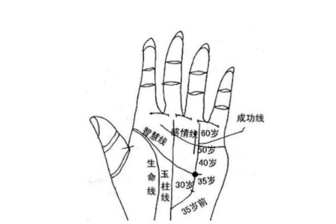 手紋繁雜代表什么 人生大起大落十分精彩