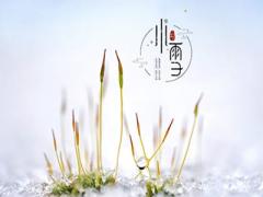 小雪節(jié)氣出生的屬猴孩子一生運(yùn)勢(shì)如何