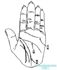 女人（男人）川字紋手相圖解大全