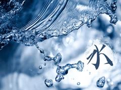 水命牛是指什么？水命牛幾月出生命最好？