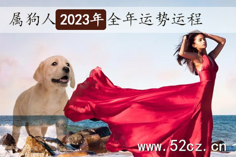 不同年份的屬狗人2023年全年運(yùn)勢(shì)詳解