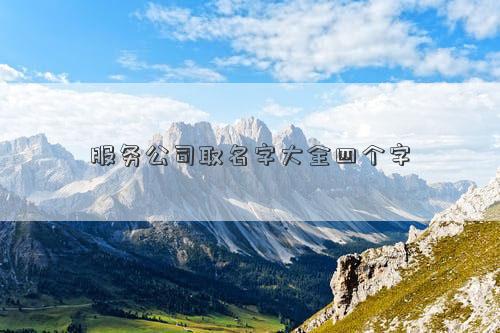 服務公司取名字大全四個字