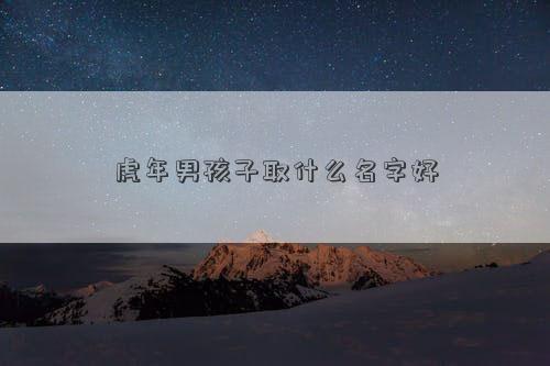 虎年男孩子取什么名字好