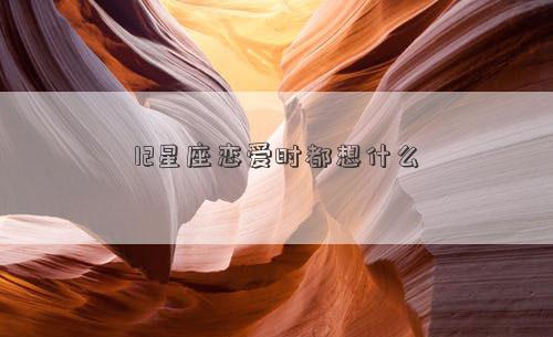 12星座戀愛時都想什么