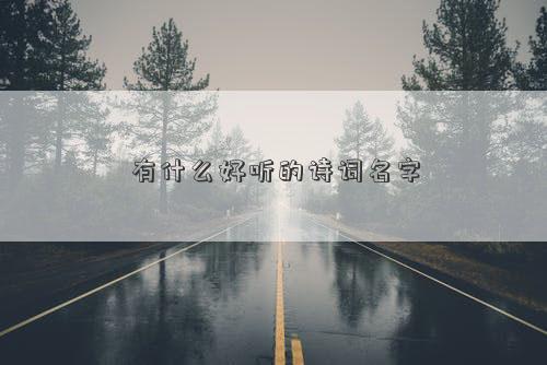 有什么好聽的詩詞名字