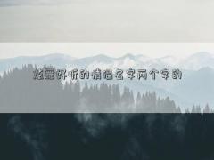 炫舞好聽的情侶名字兩個字的