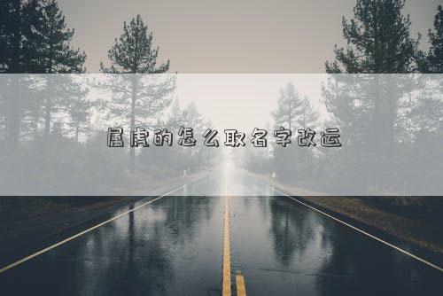 屬虎的怎么取名字改運