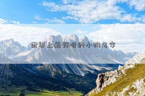 世界上最好聽的小狗名字