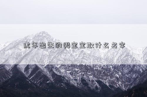 虎年出生的男寶寶取什么名字