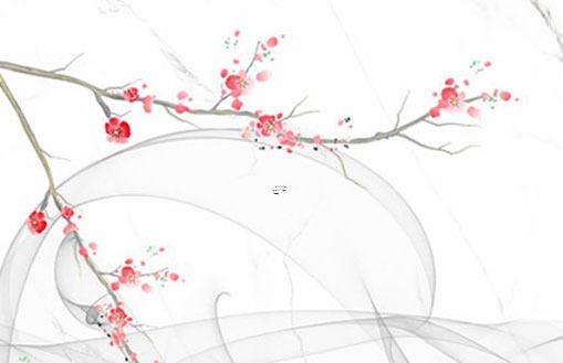 17歲2005年的屬雞人在2022年下半年運氣運勢