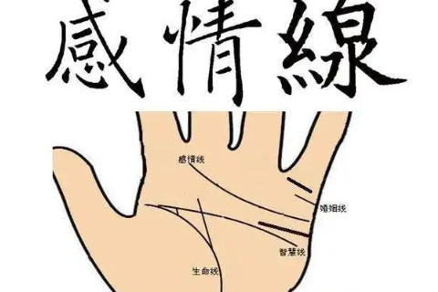 川字掌的男人事業(yè)、婚姻以及財(cái)運(yùn)如何