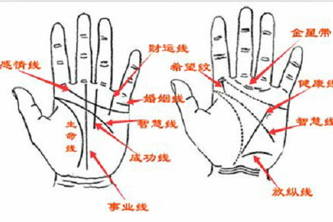 女生生命線斷斷續續好嗎?容易生病